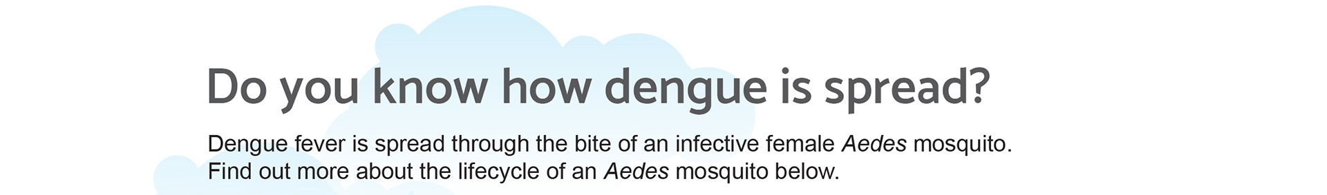 DengueV9(resized)_04