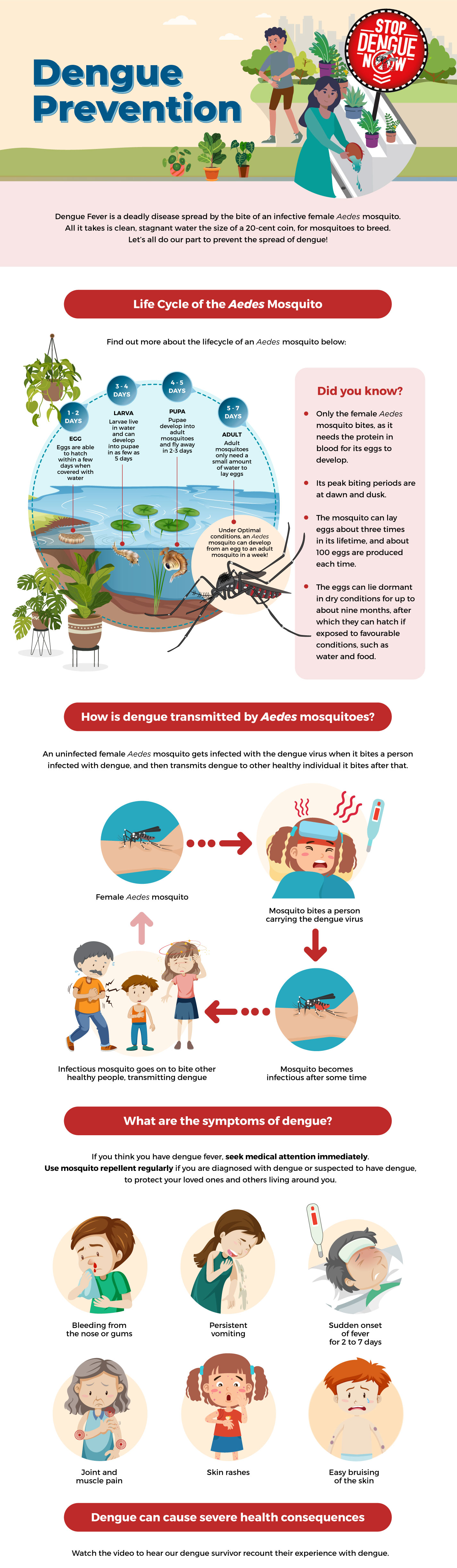 Dengue-Prevention_1