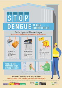 Dengue Prevention EN