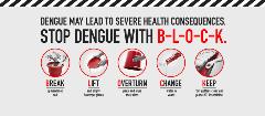 BLOCK Dengue Steps